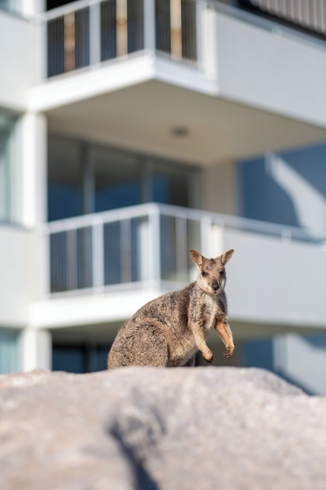 Grand Mercure Apartments Magnetic Island 32/56
