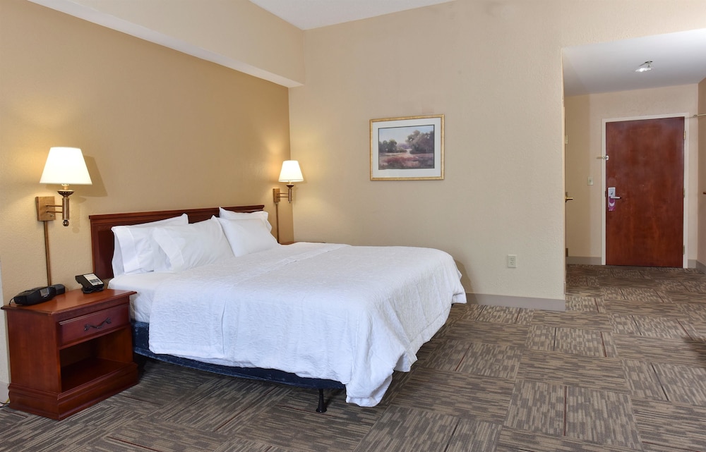 Hampton Inn Selma 19/42