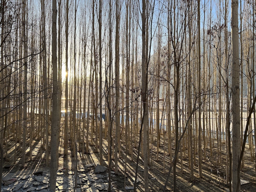Khoj Resorts Shigar 87/93