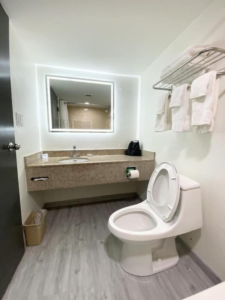 Junior Suite, King Bed, Sofa, Ramada By Wyndham Tuscaloosa 3/4