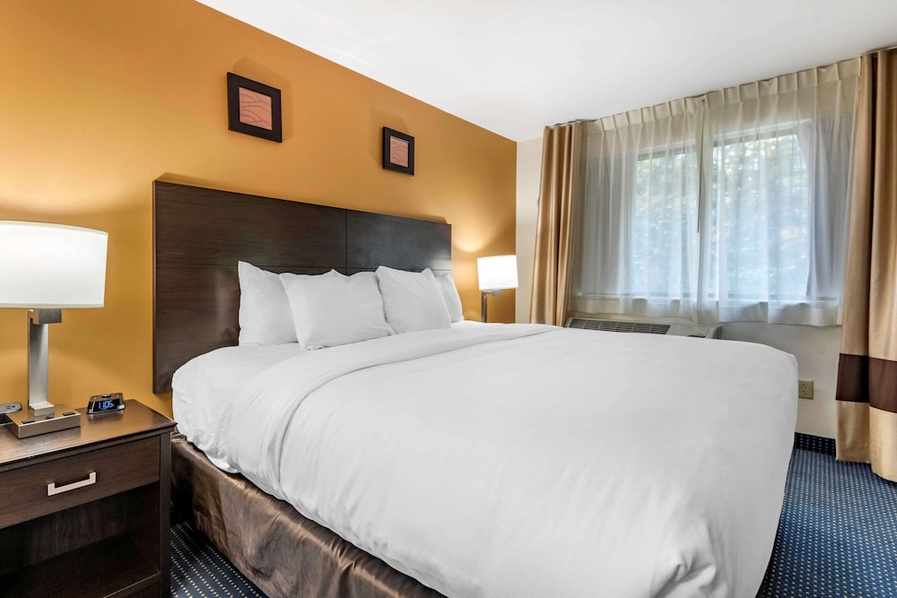 Comfort Inn & Suites Montpelier-Berlin 18/45