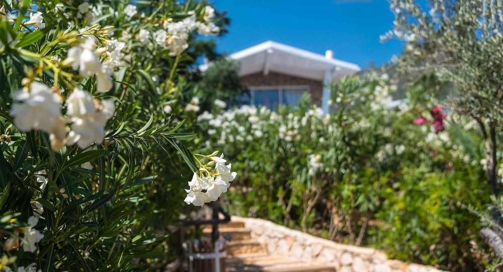 Likya Pavilion - Adults Only 20/27
