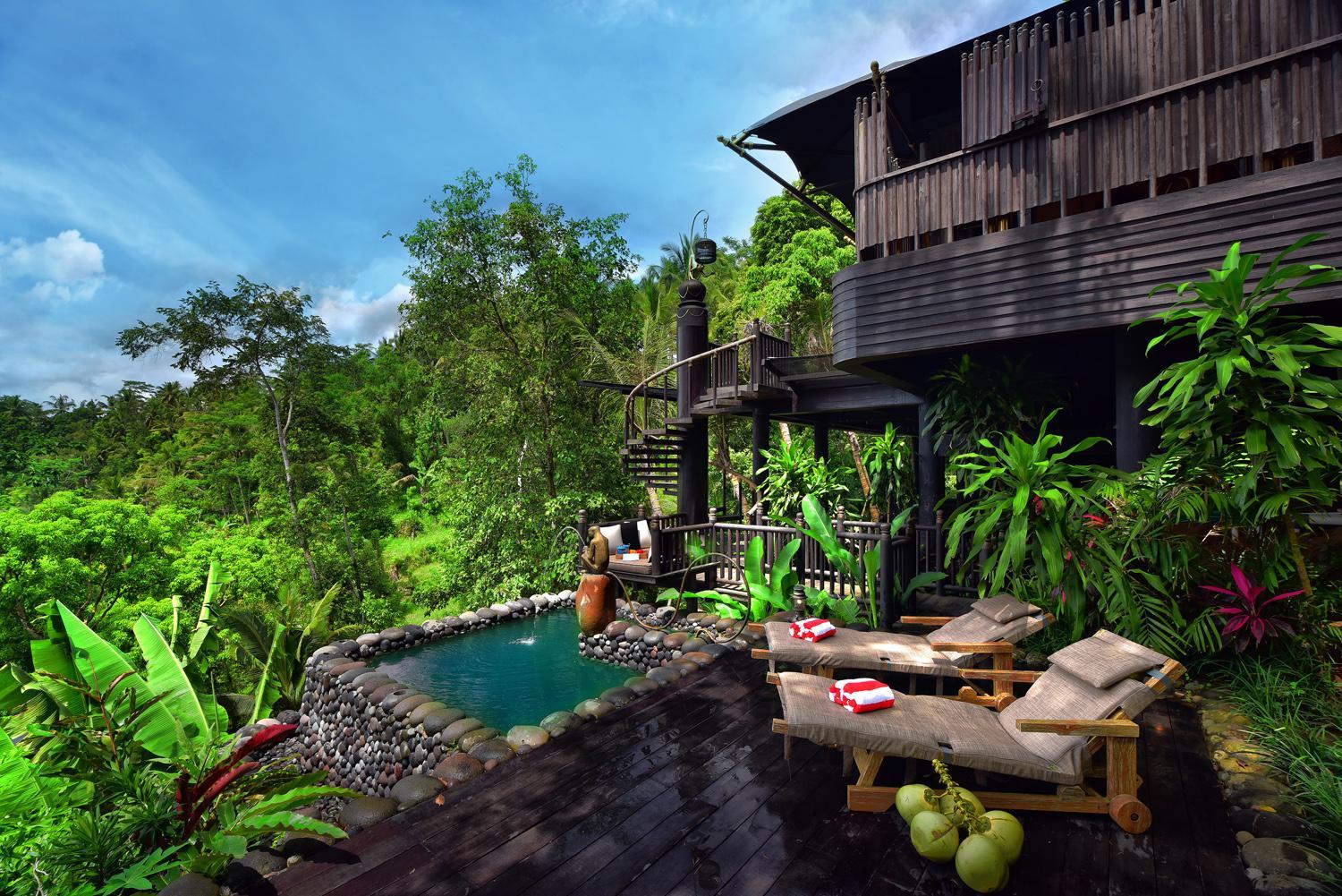 Rainforest, Tent, King Bed