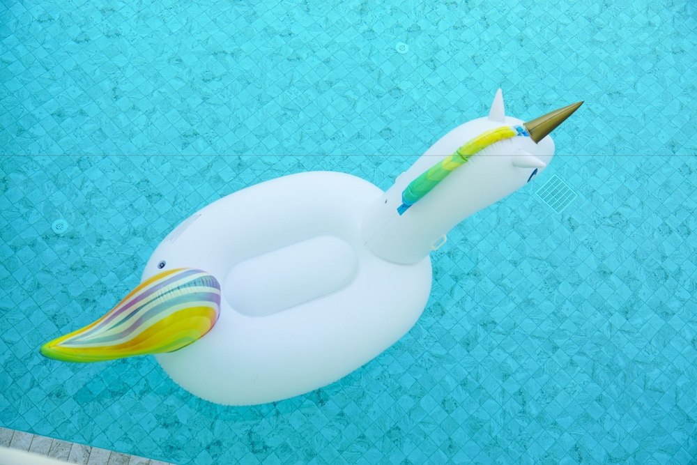 マカサ 写真4