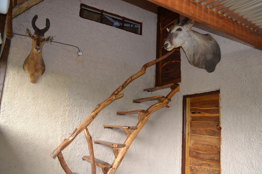 Mali Mali Safari Lodge 20/50