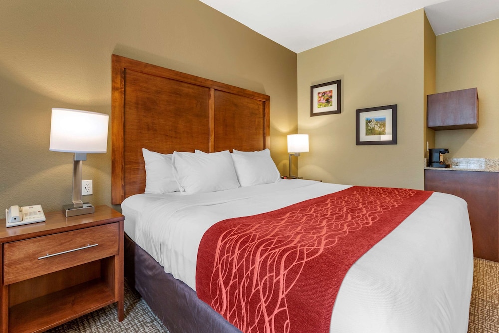 COMFORT INN & SUITES NEAR MT. RUSHMORE 12/34