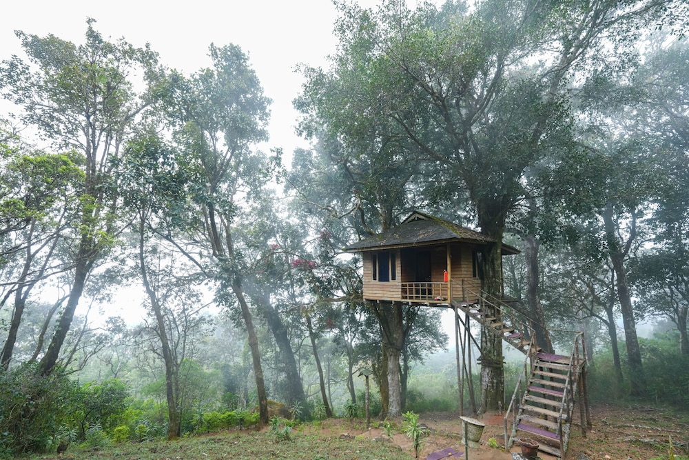 ネイチャー ゾーン ジャングル リゾート(Nature Zone Resort) 写真2