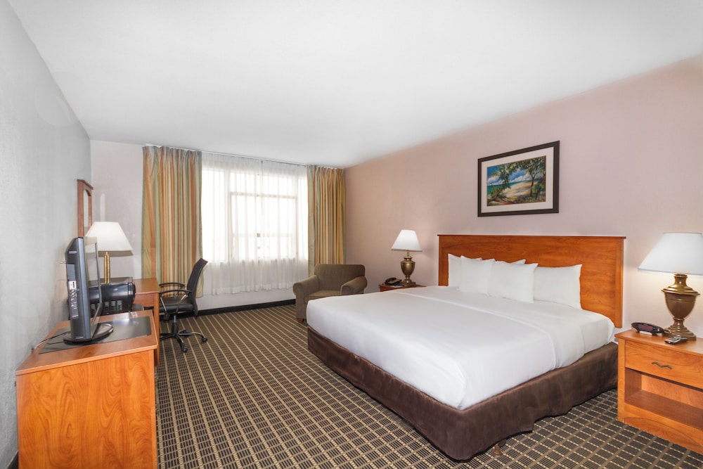 Upgrade, Suite, King Bed