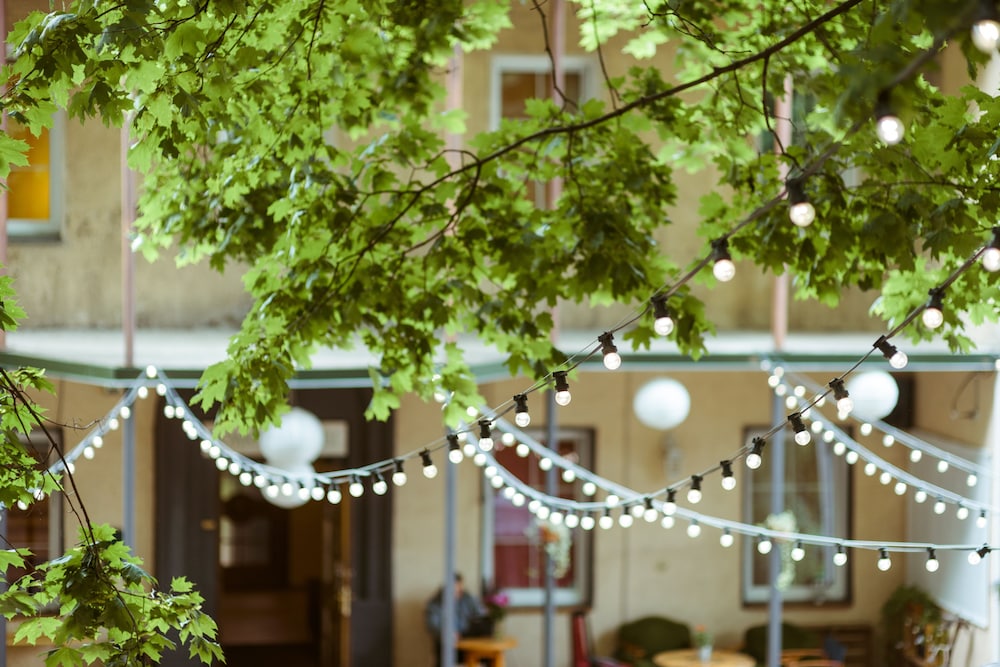 Downtown Forest Hostel & Camping 4/50