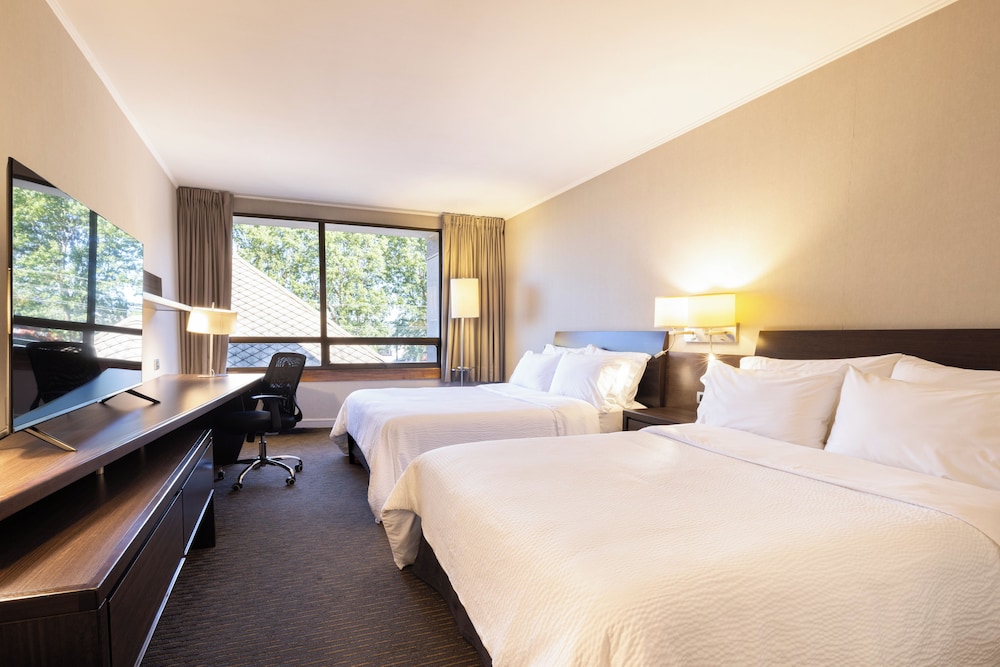 Standard, Single Bed