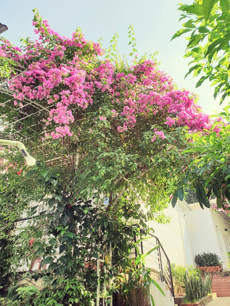 Hanh Ngoc Bungalow 34/50