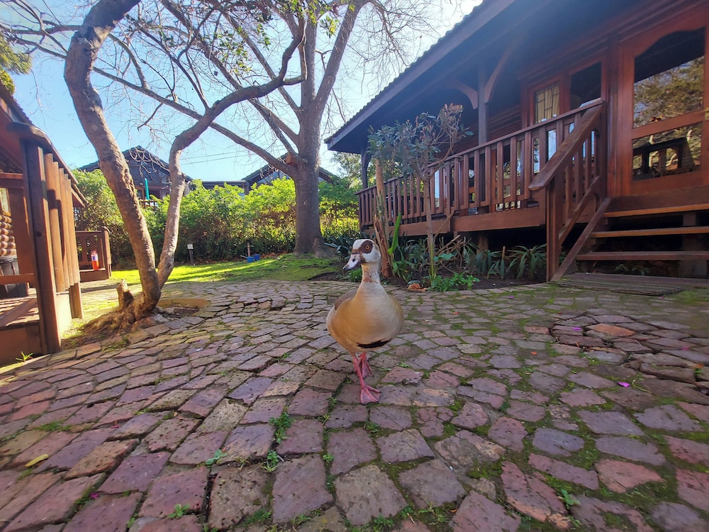 KNYSNA RIVER CLUB - KNYSNA 73/76