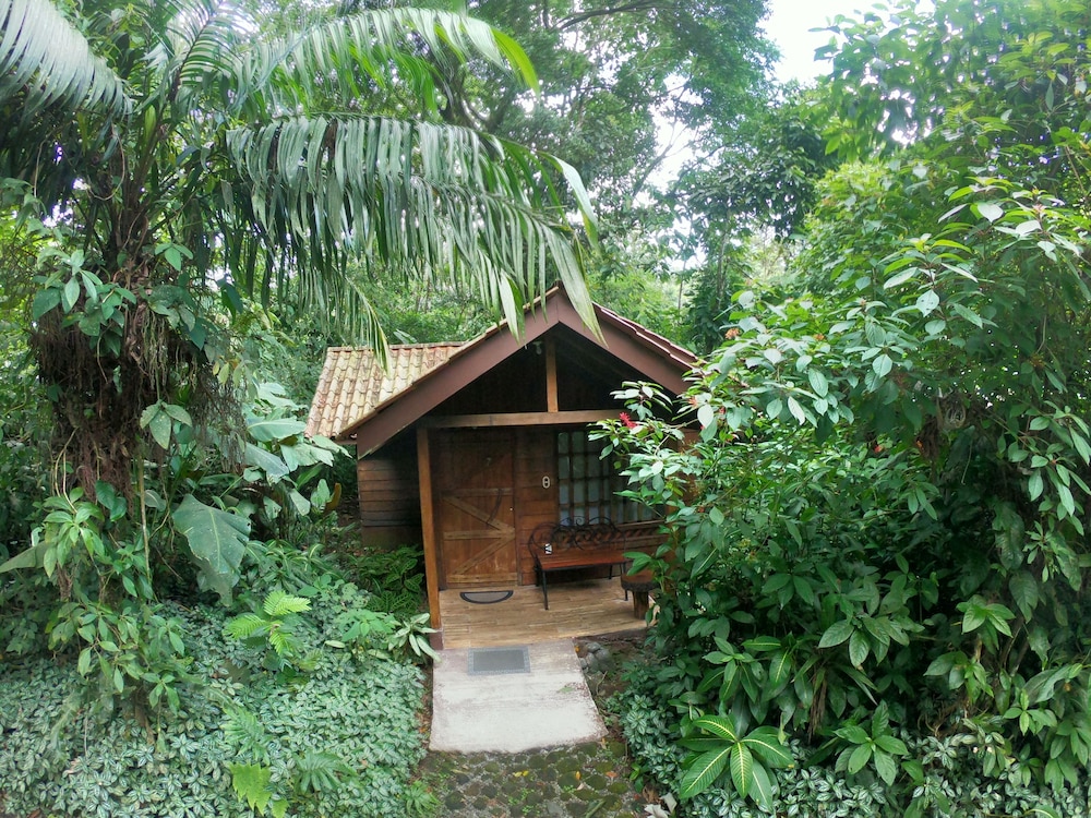 Arenal Oasis 44/50