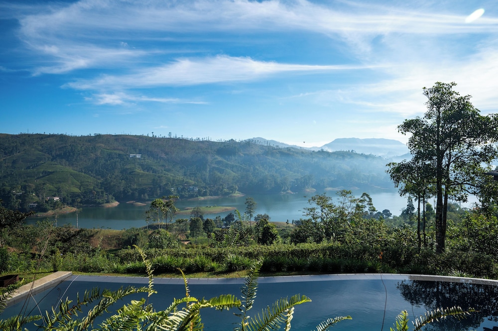 Camellia Hills 45/58