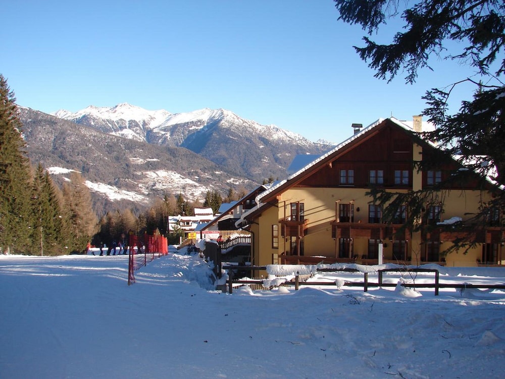 NEVESOLE FOLGARIDA 15/43