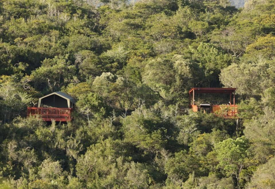 Horseshoe Game Reserve 27/47