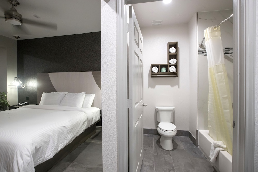 House Hotel 24/25