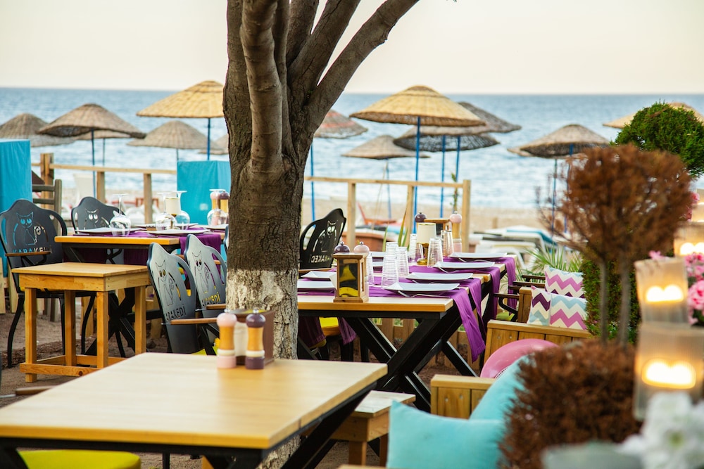 Kara Kedi Beach Bungalow 26/50