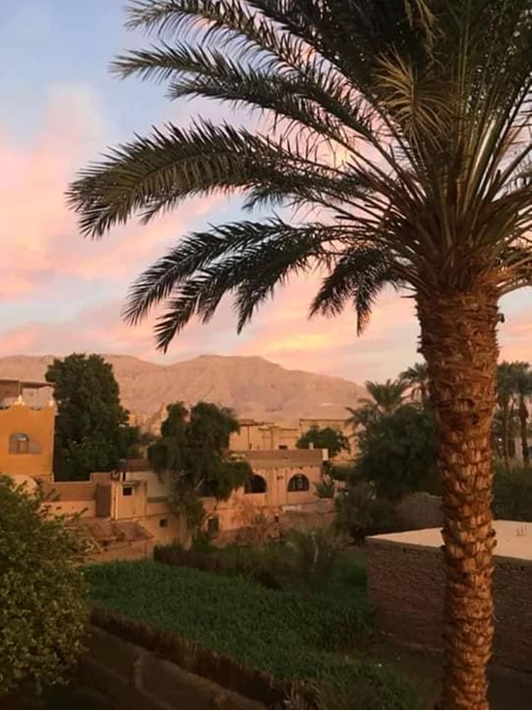 Amenophis Hotel 44/50