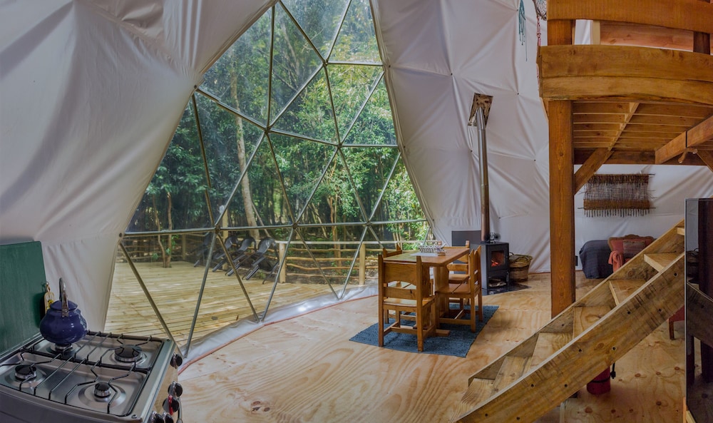 Cabanas Anulen Bosque Nativo 30/49