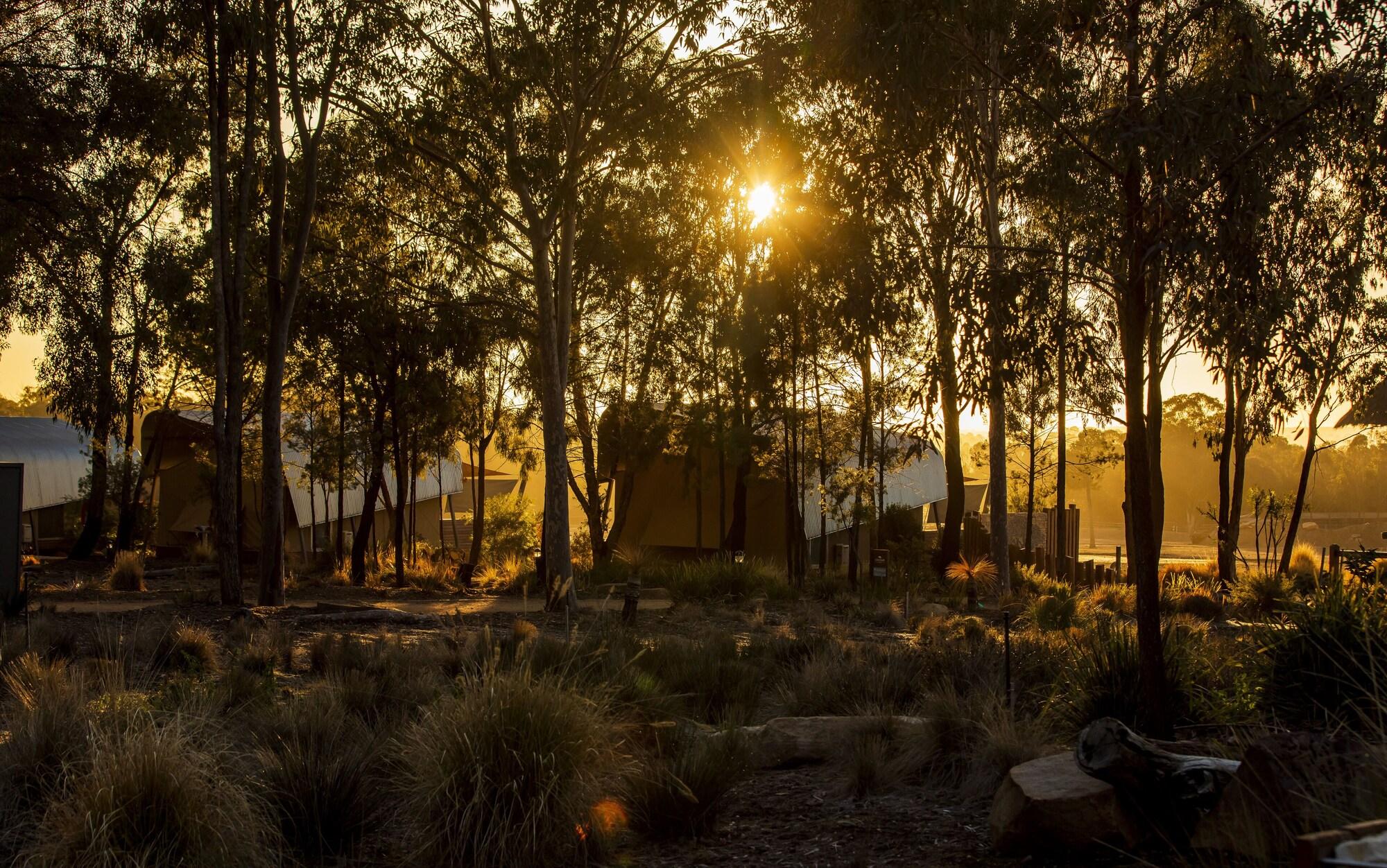 Zoofari Lodge 9/13