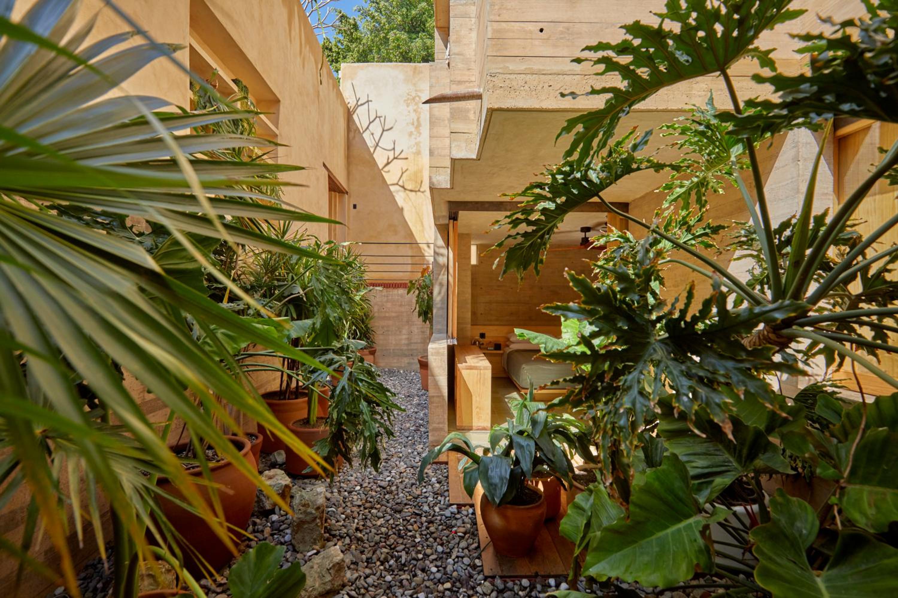 Room, King Bed, Patio