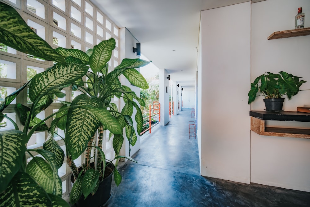 Allia Residence 9/23