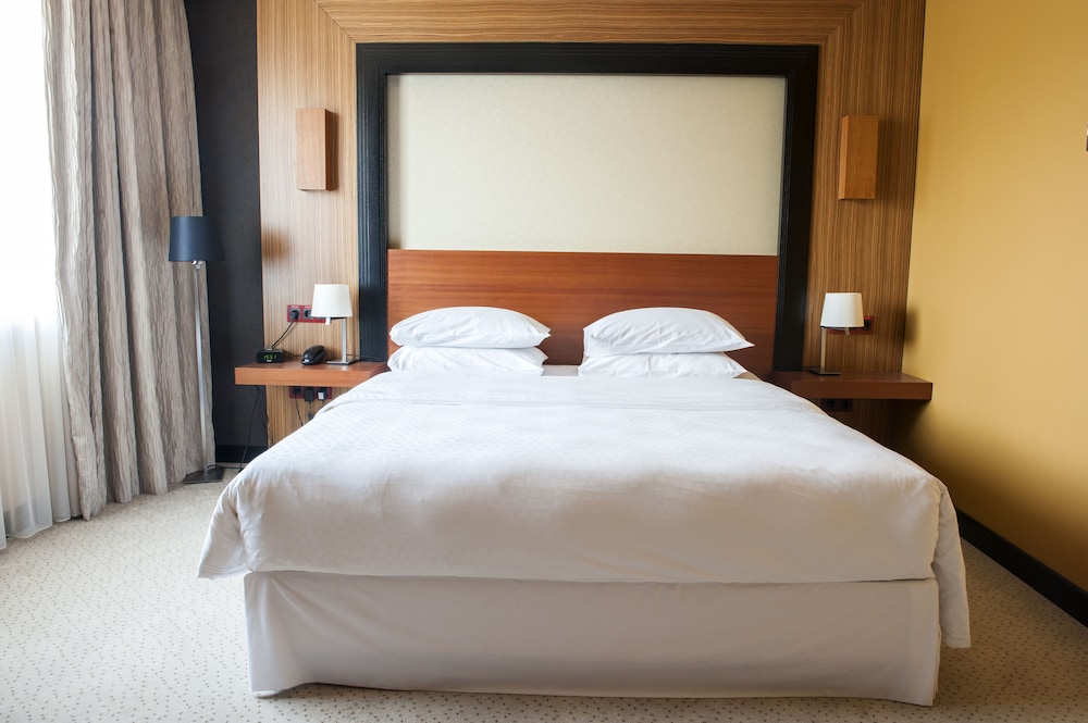 FOUR POINTS BY SHERATON KECSKEMET HOTEL & CONFERENCE CENTER 19/35