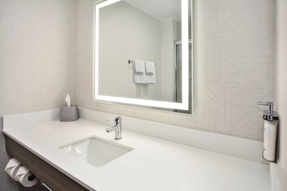 Holiday Inn Express & Suites Belleville (Airport Area) 50/50