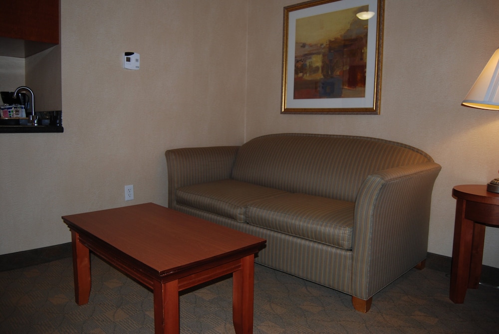 Holiday Inn Express Hotel Suites Auburn Hills 47/65