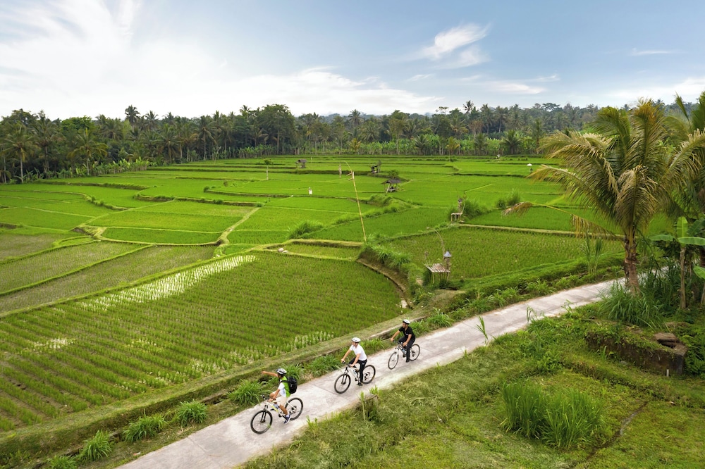 Padma Resort Ubud 44/69
