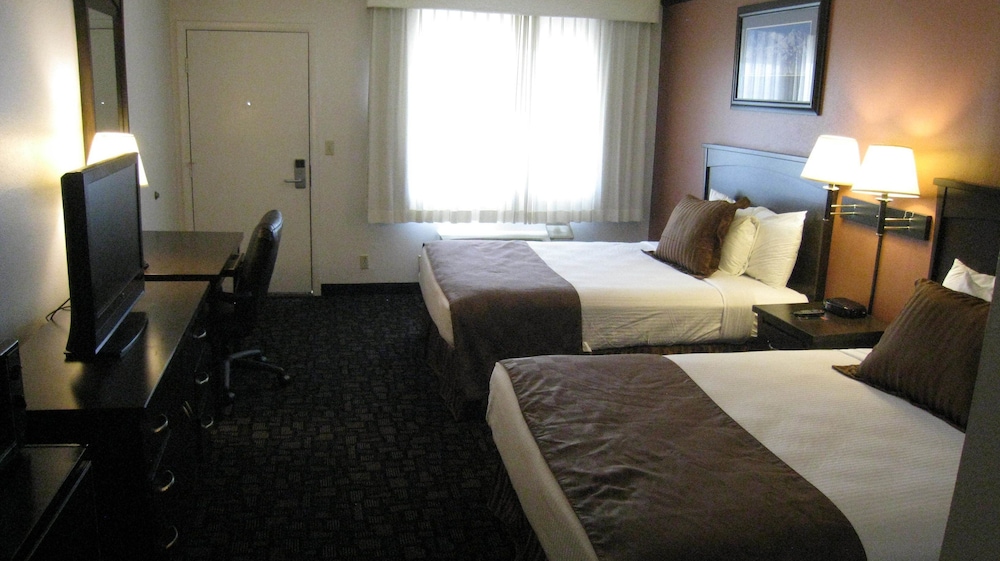 Discovery Inn 5/56