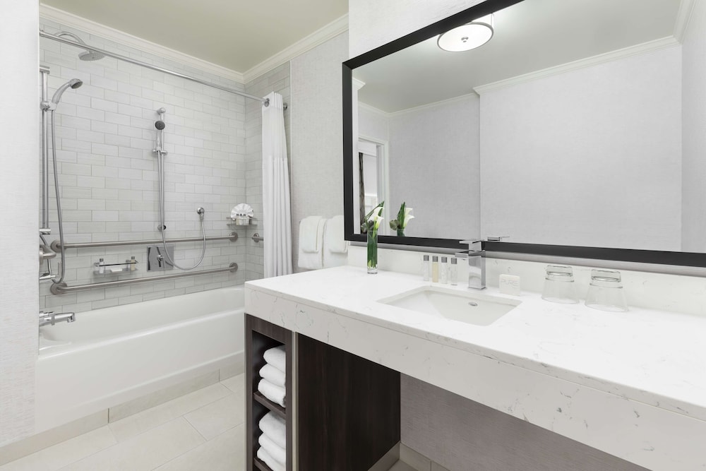 1DBL Mobility Acc Bathtub، Hilton Boston Park Plaza 6/8