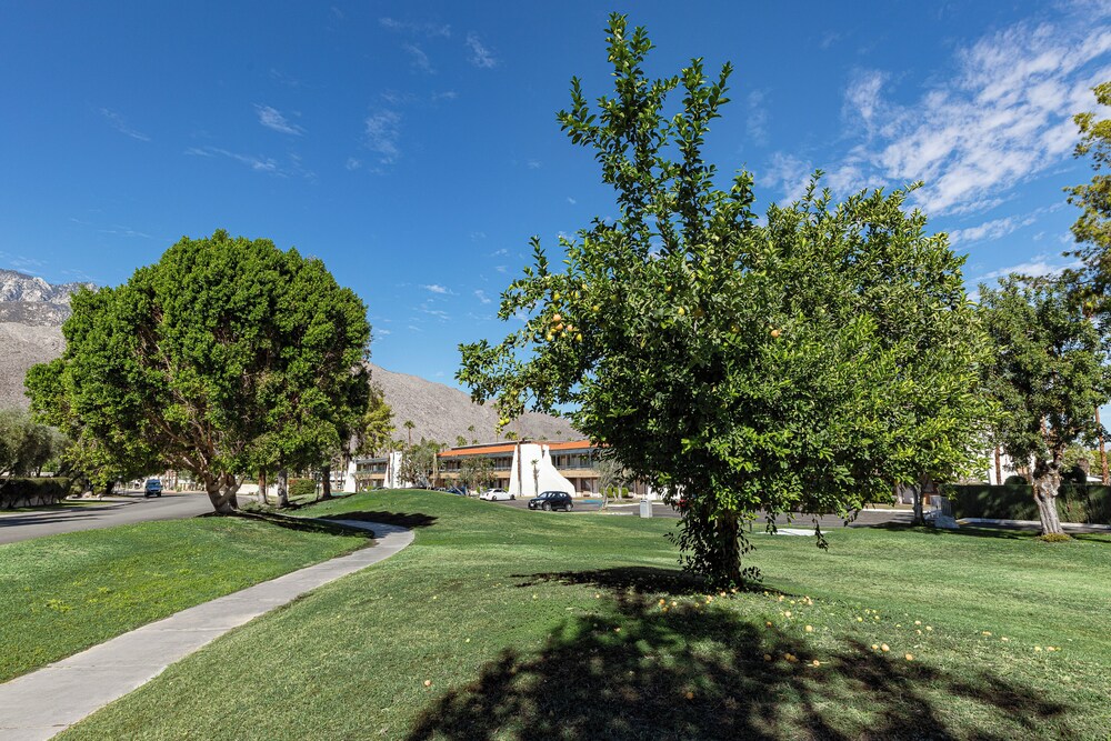 Travelodge By Wyndham Palm Springs 32/41