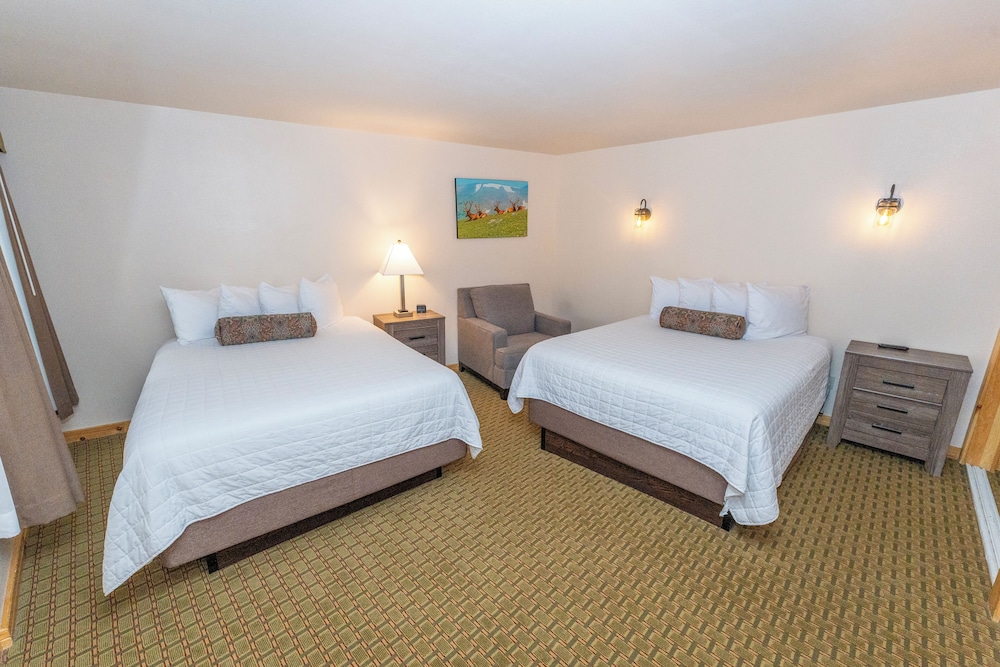 شقة أساسية بسريرين كوين