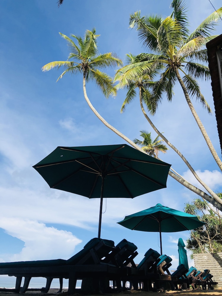 Suite Lanka 5/50