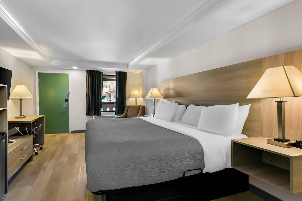 Upgrade, Suite, King Bed