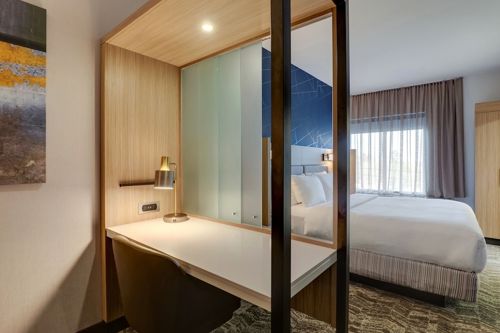 SpringHill Suites by Marriott Cheraw 38/39