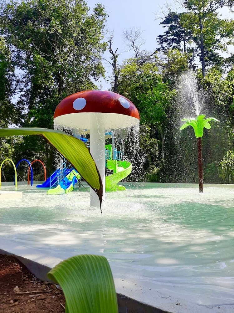 Rainforest de Selva Hotel 52/65