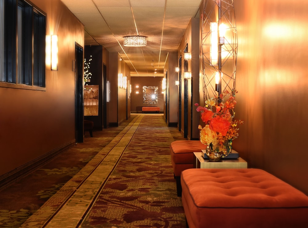 Centerstone Plaza Hotel Soldiers Field Mayo Clinic Area 37/71