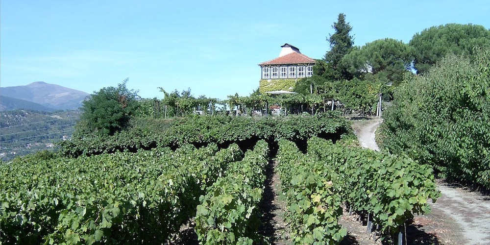 Douro Park Hotel 73/75