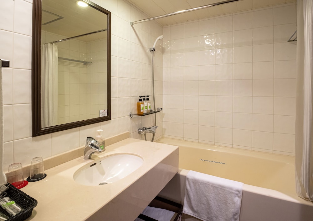 Ibis Styles Sapporo 60/61