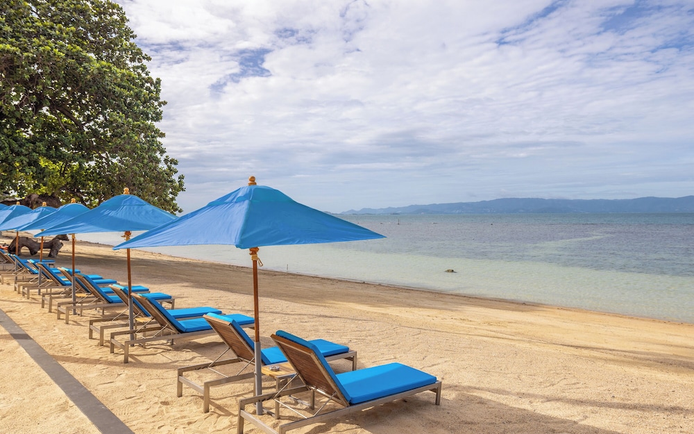 Explorar Koh Phangan Adult Only 39/63