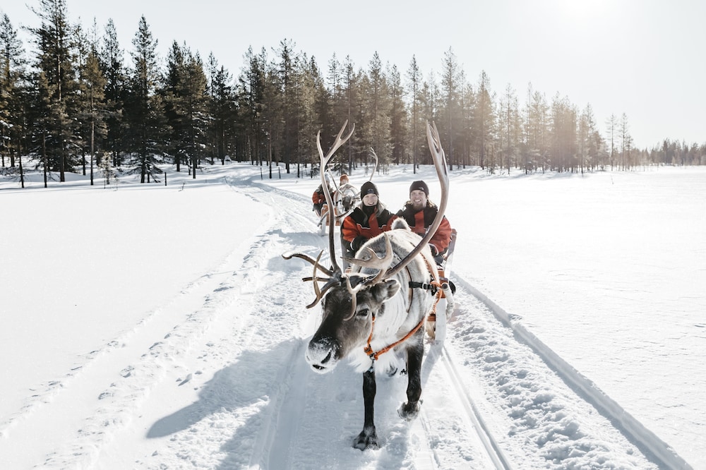 Lapland Hotels Bear's Lodge photo5