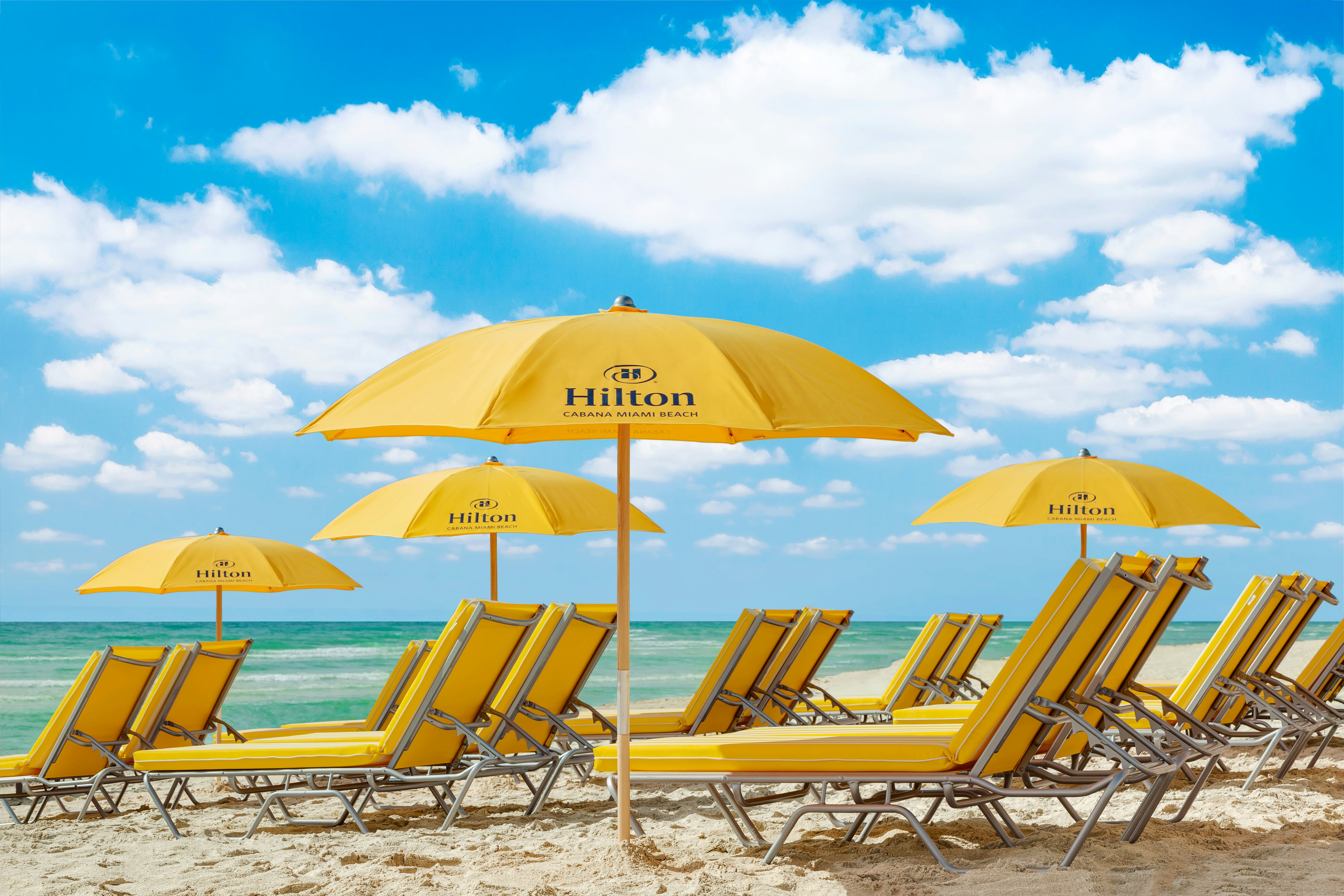Hilton Cabana Miami Beach Resort 77/82