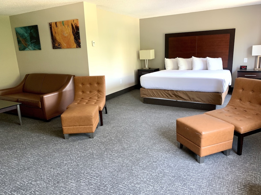 Wingate by Wyndham Atlanta Galleria Ballpark 16/50