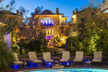 palace hotel olive odore