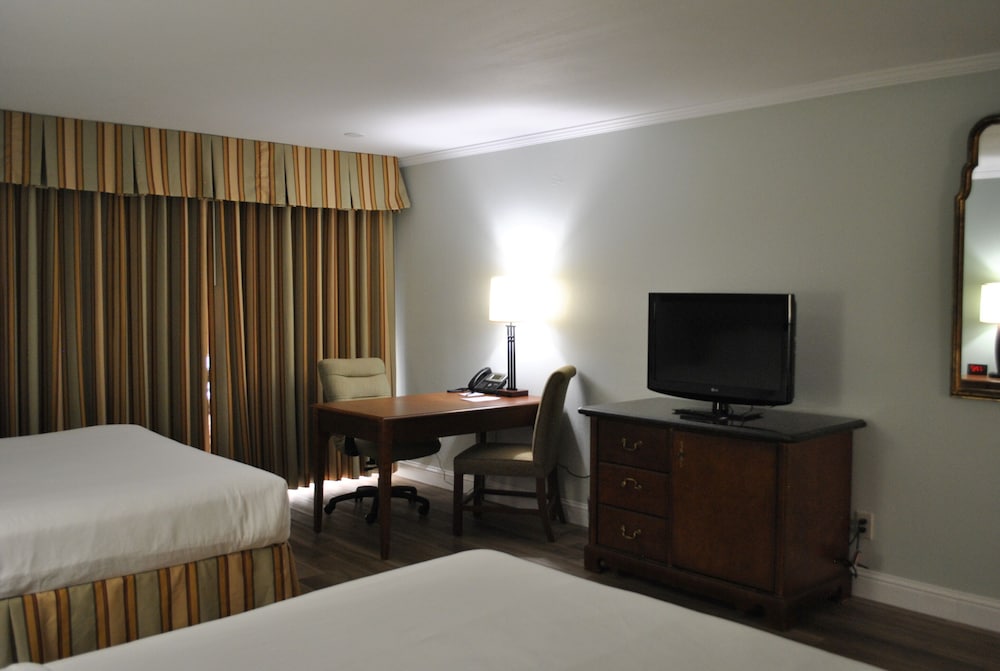 Hotel Piccadilly 20/65