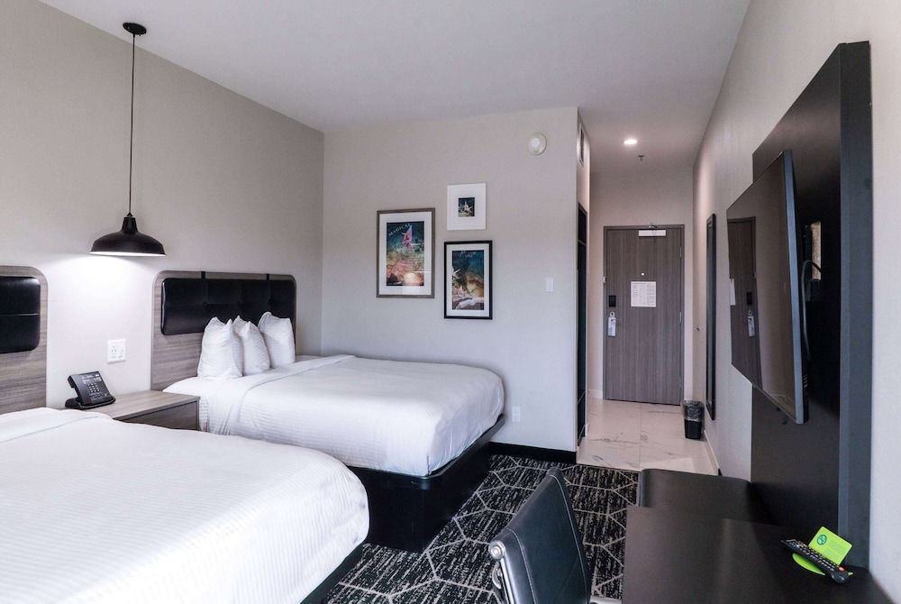 La Quinta Inn & Suites by Wyndham Corpus Christi Southeast 19/56