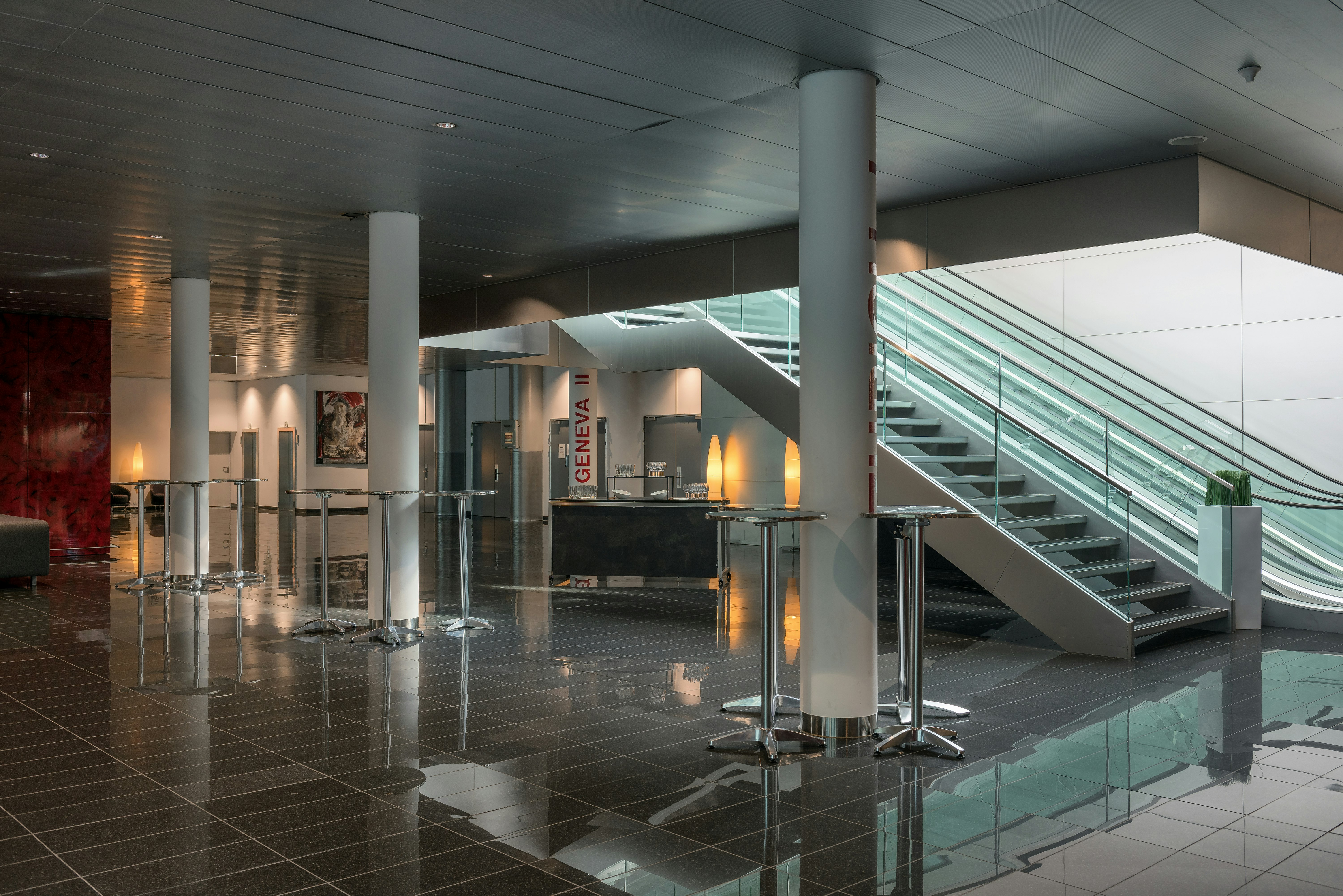 Hilton Geneva Hotel and Conference Centre (EX-Starling E EX-Crowne) 37/81